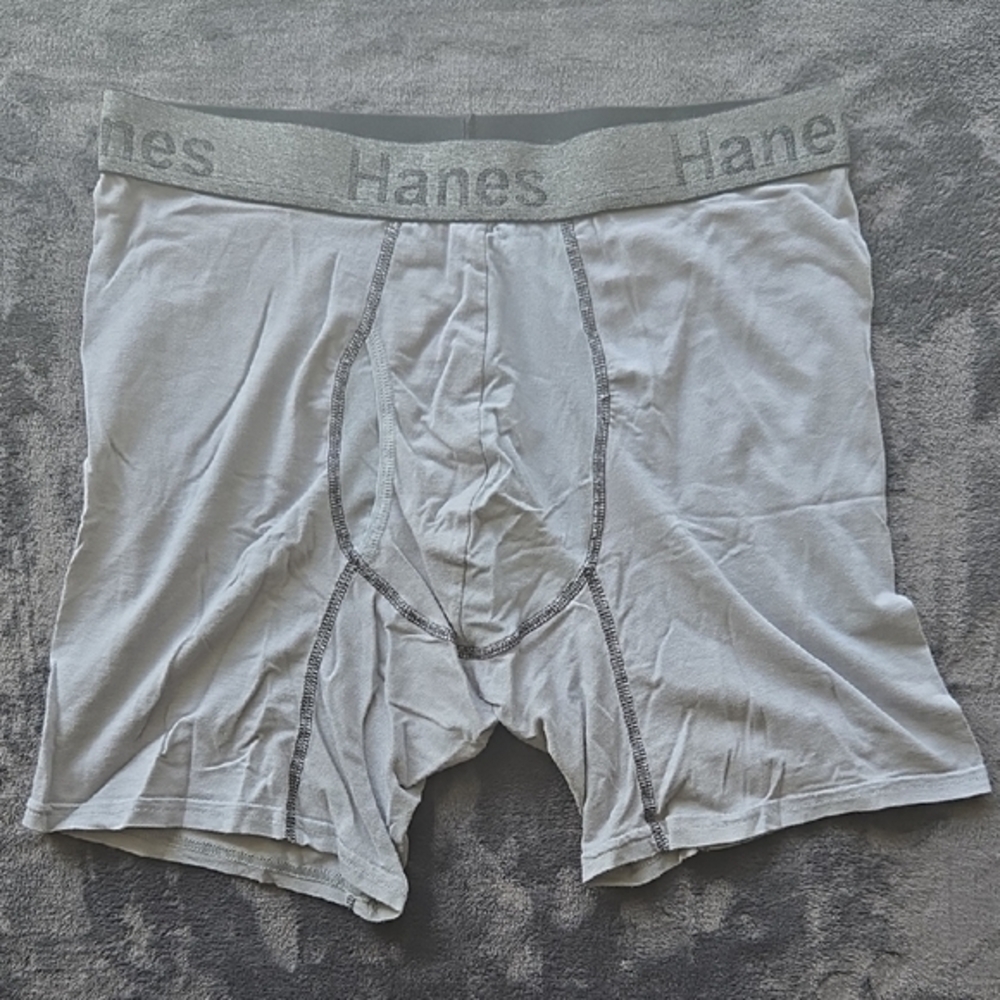 Hanes Gray Performance Boxer Briefs Moisture-Wicking Comfort